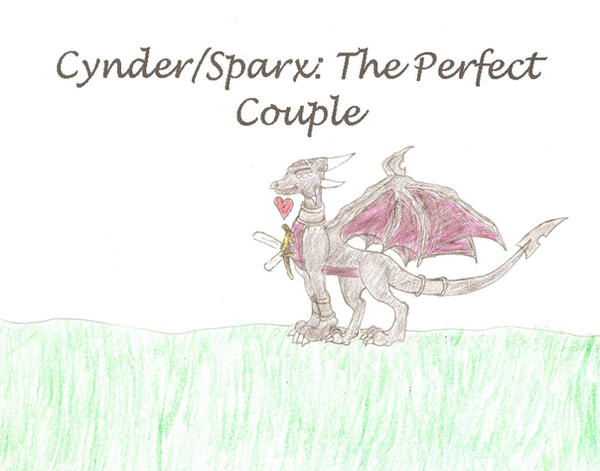The_Perfect_Couple_by_SpyroForLife.jpg